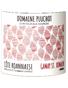 Domaine Pluchot - Arris - Côte Roannaise 2023