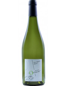 Touraine Sauvignon 2023