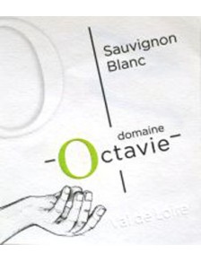 Touraine Sauvignon 2023